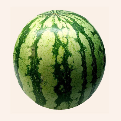 water-melon-image